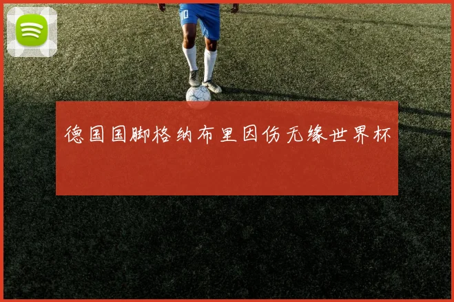 德国国脚格纳布里因伤无缘世界杯