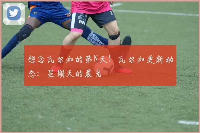 想念瓦尔加的第N天！瓦尔加更新动态：星期天的晨光